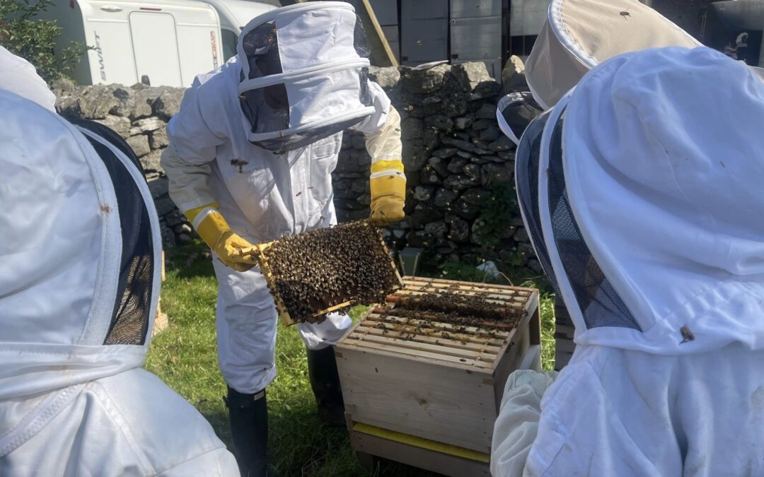 Bee Fun