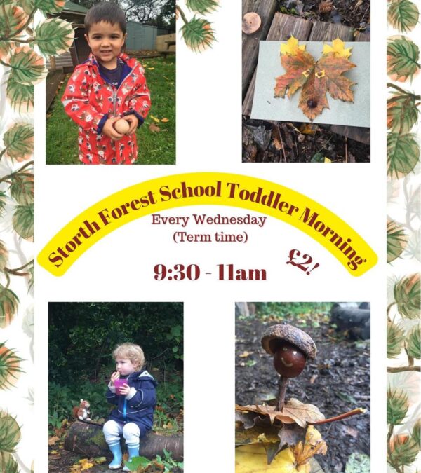 Toddler Forest School