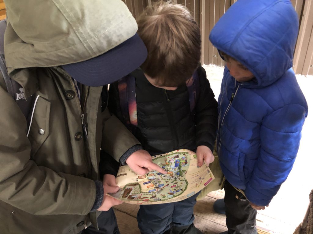 zoo trip