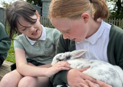 Children meeting a white rabbit