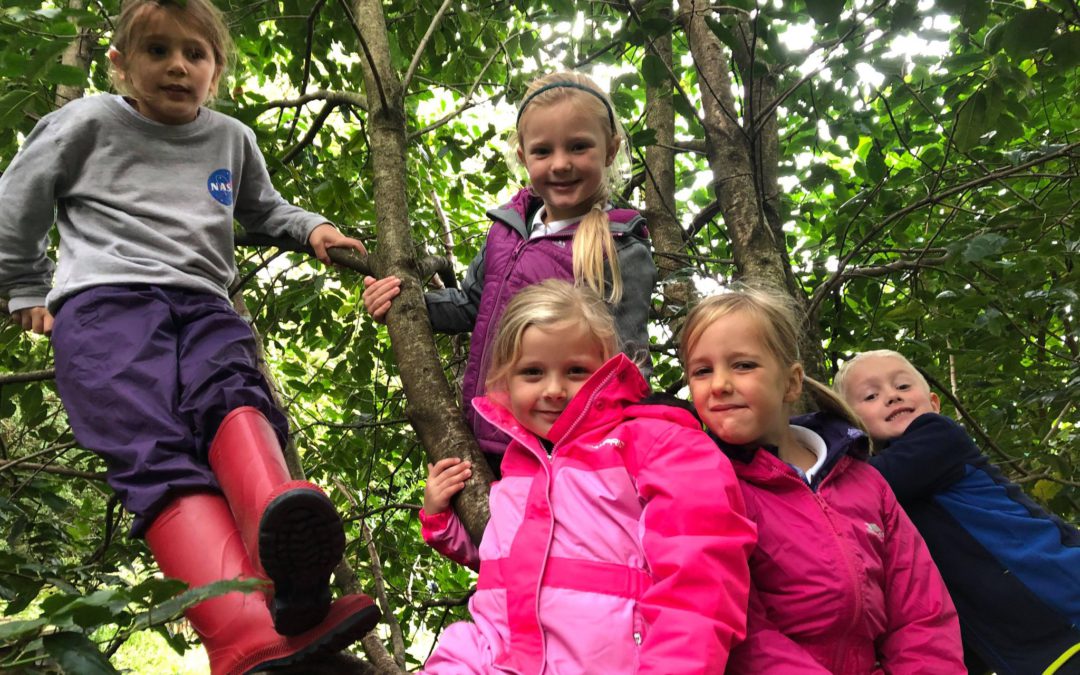 Class 2 Forest School Fun